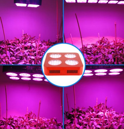 140w agricultural led grow lights for agriculture1