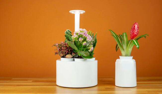 Application status of plant lighting users