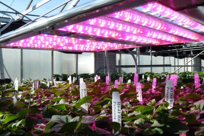 China LED lighting manufacturing industry development trend