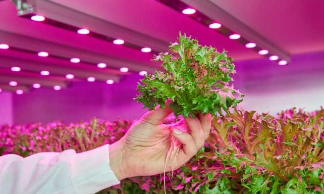 LED-lit vertical farms in tunnels