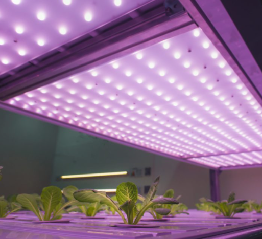 LED plant lighting design recommendations