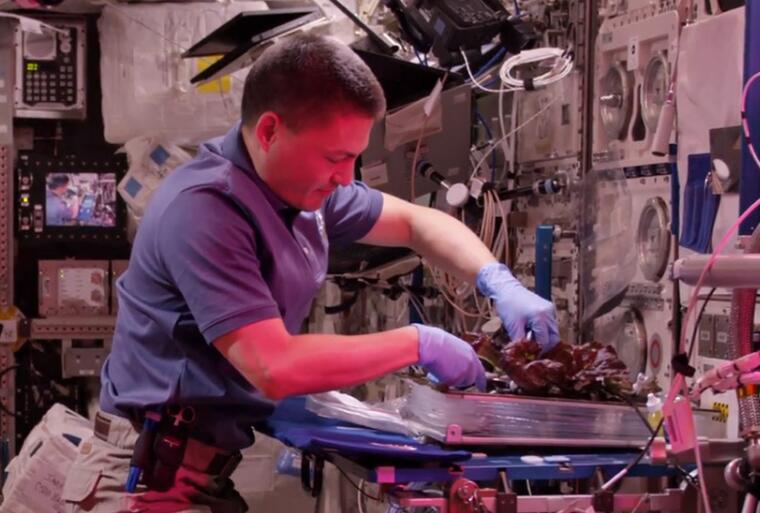 NASA LED plant incubator upgrad again