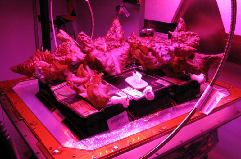 NASA builds LED lighting space farm