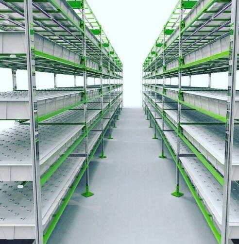 Russia and Kazakhstan began to vigorously build LED greenhouses