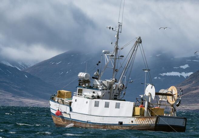 Technological fishing create a smart castle on sea