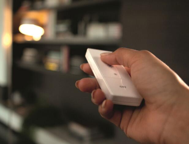 The common LED lighting dimming control system