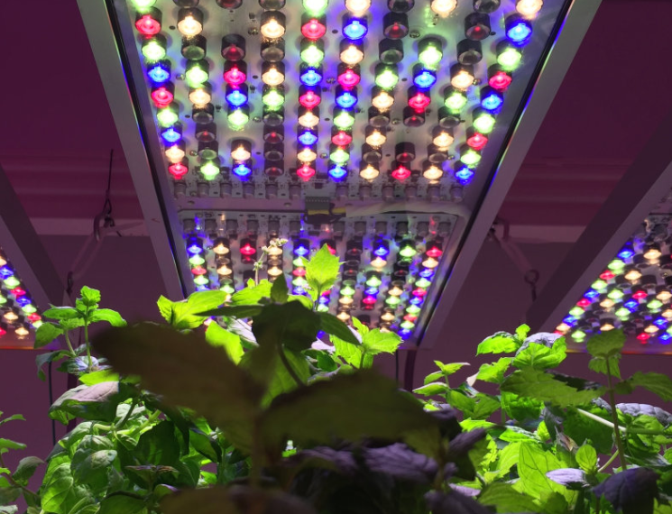 The indoor health lighting series group standard is officially released