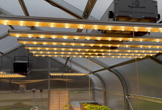 Using-special-LED-lights,-it-only-takes-half-the-time-to-grow-wheat