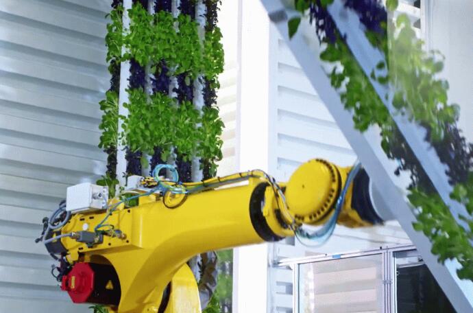 Vertical Farm Tigris Uses LED Lighting Year-Round
